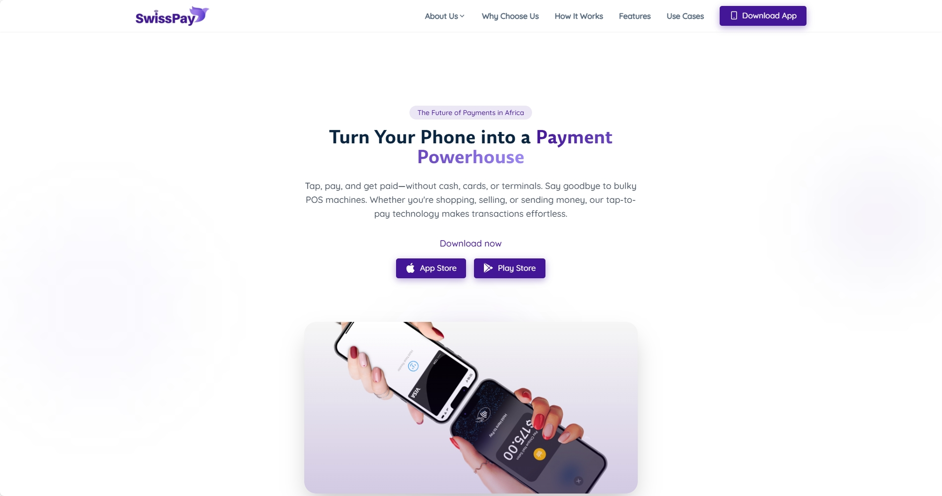 Screenshot of the Swisspay project