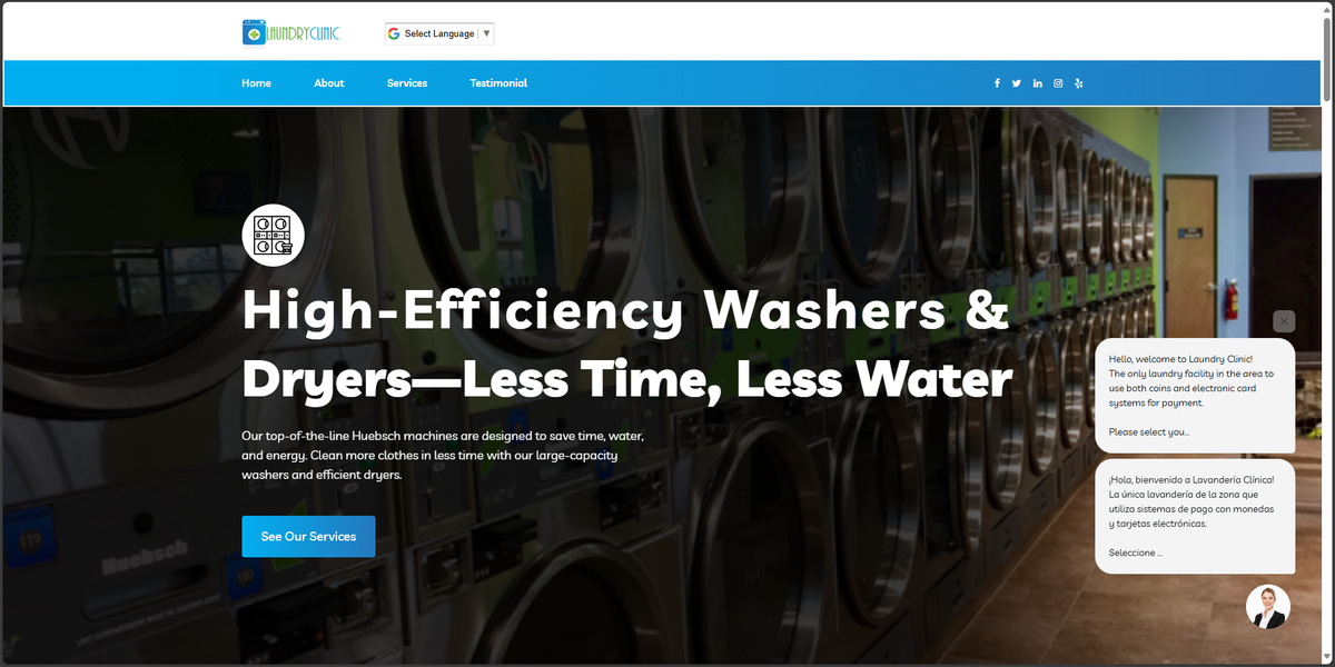 Screenshot of the Laundry Clinic project